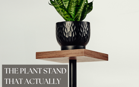 The Plant Stand That Actually Works in a Hallway
