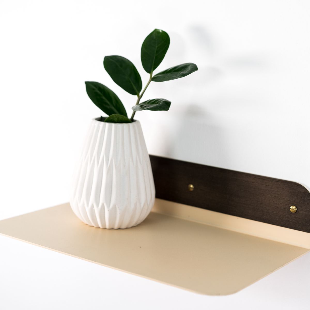 Compact metal shelf with round corners and golden screws